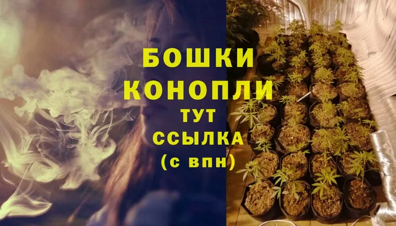 Бошки марихуана SATIVA & INDICA  МЕГА ТОР  Благодарный 